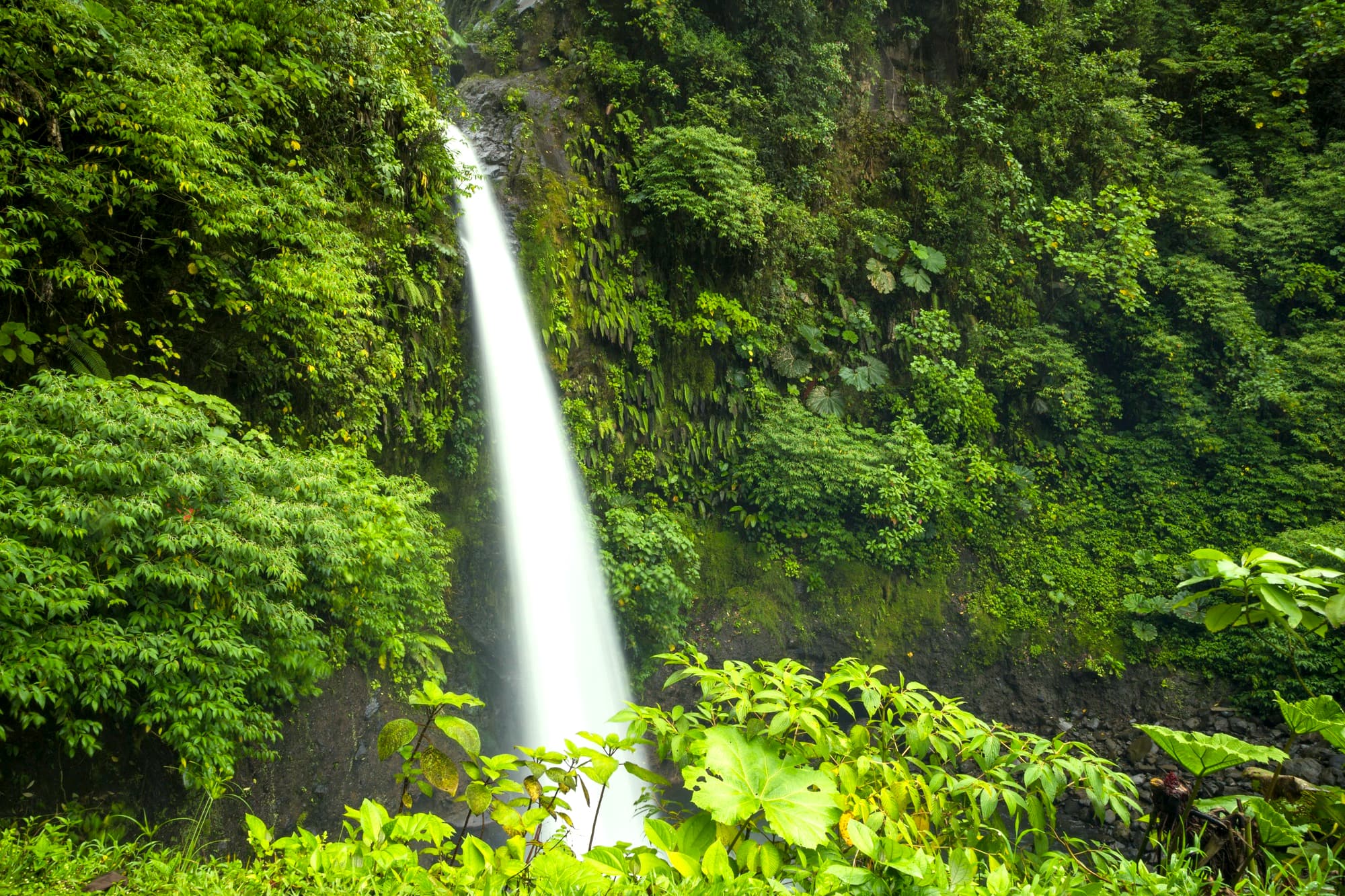 Costa Rica Waterfall