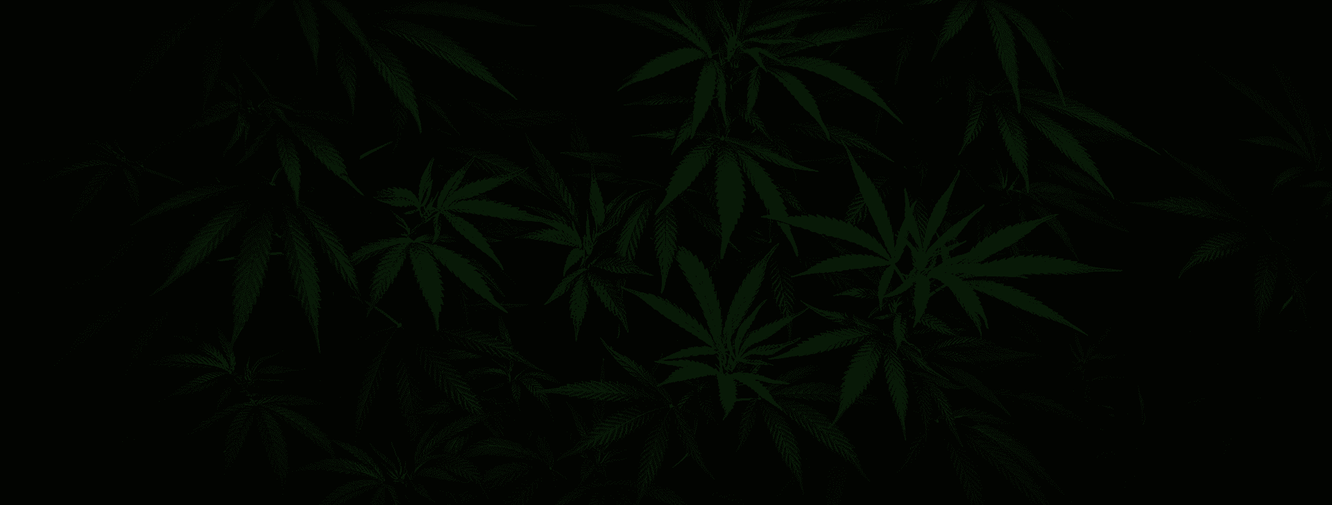 Cannabis pattern